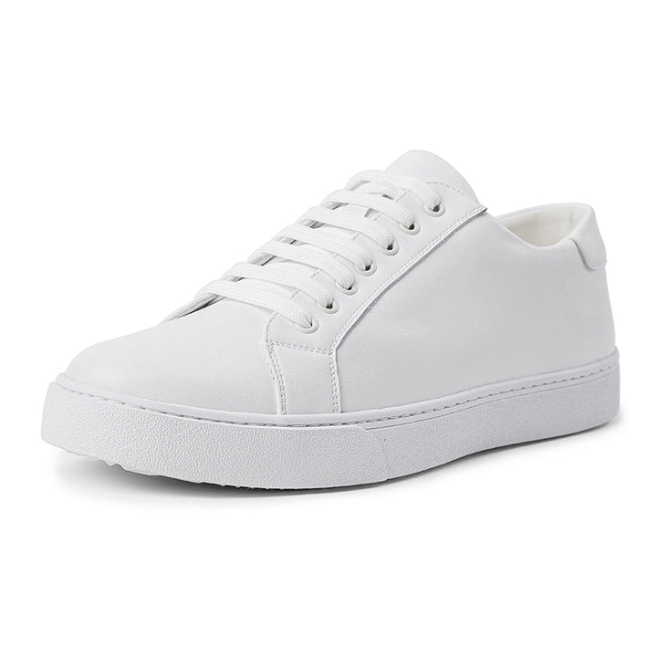 Edward Sneakers